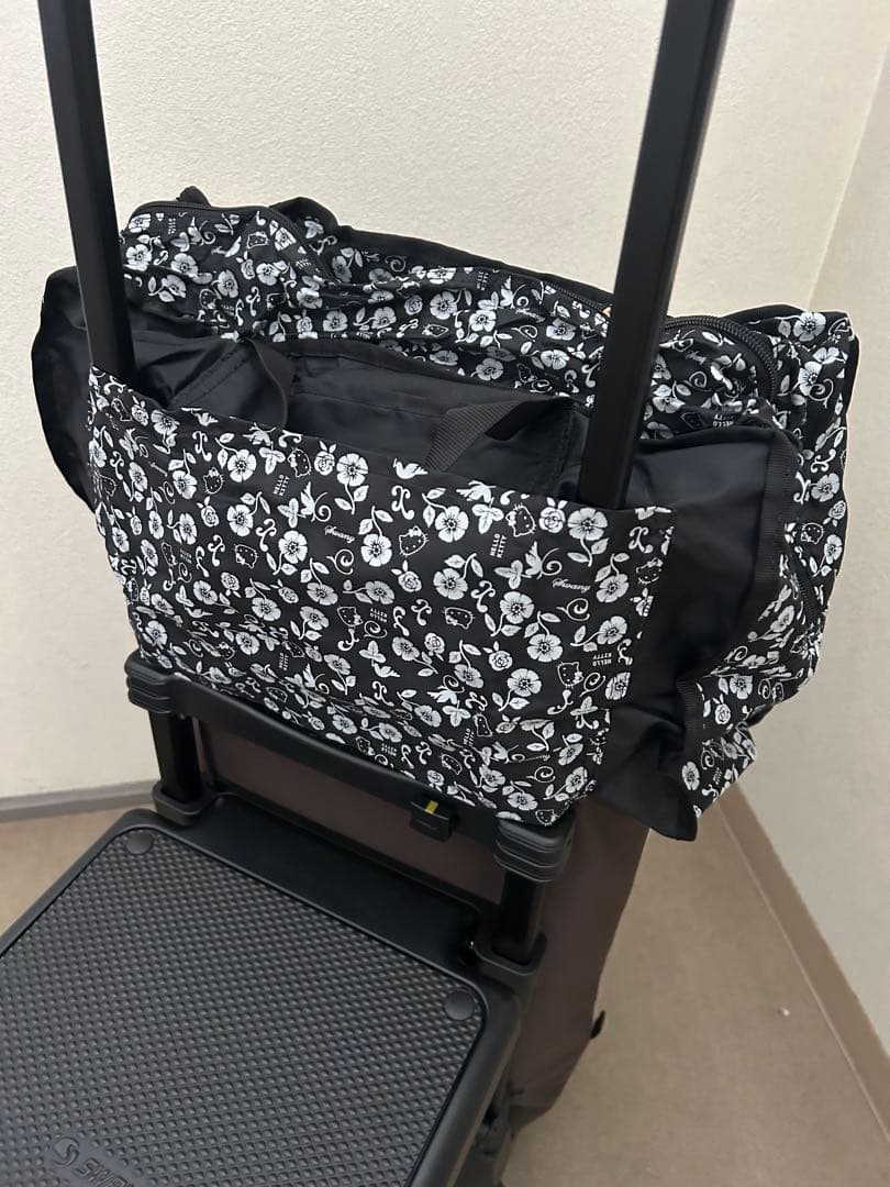 スワニーキャリーバッグLサイズ　イス付き おまけあり