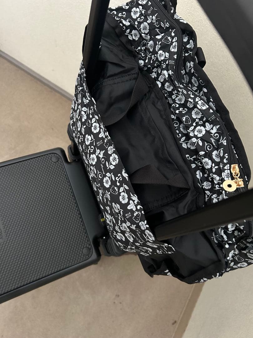 スワニーキャリーバッグLサイズ　イス付き おまけあり