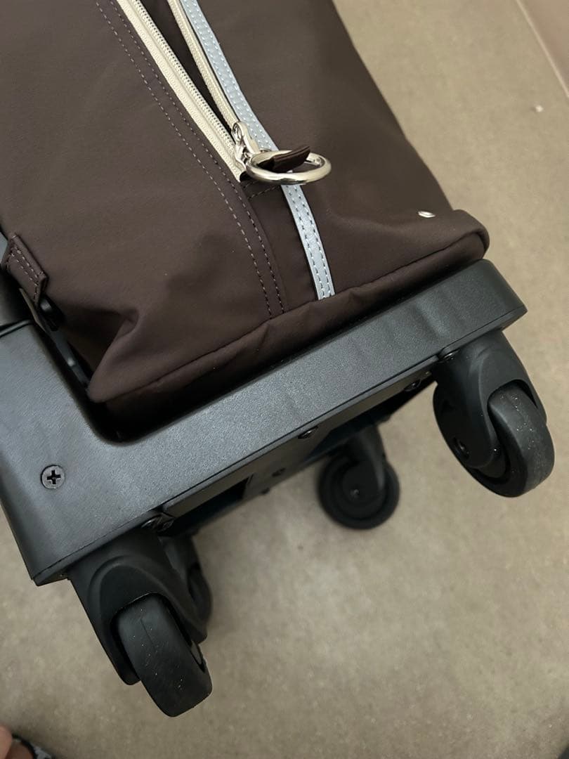 スワニーキャリーバッグLサイズ　イス付き おまけあり