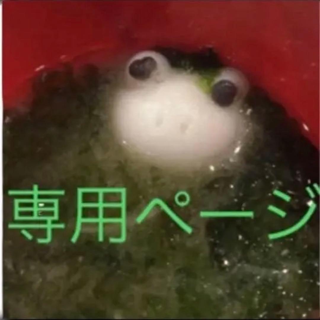 専用★アパルトモン LOU ANDREA RIB WOOL COAT