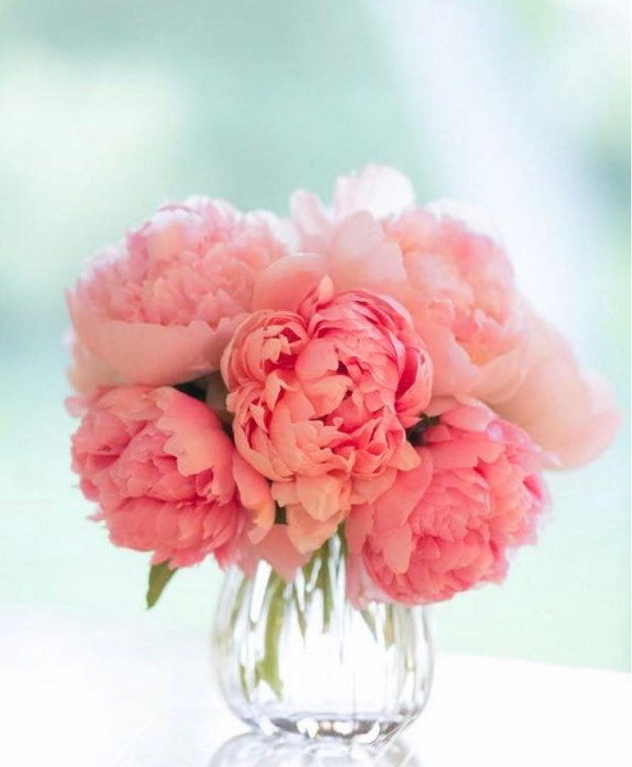 サロペット・オーバーオール・オールインワン ms