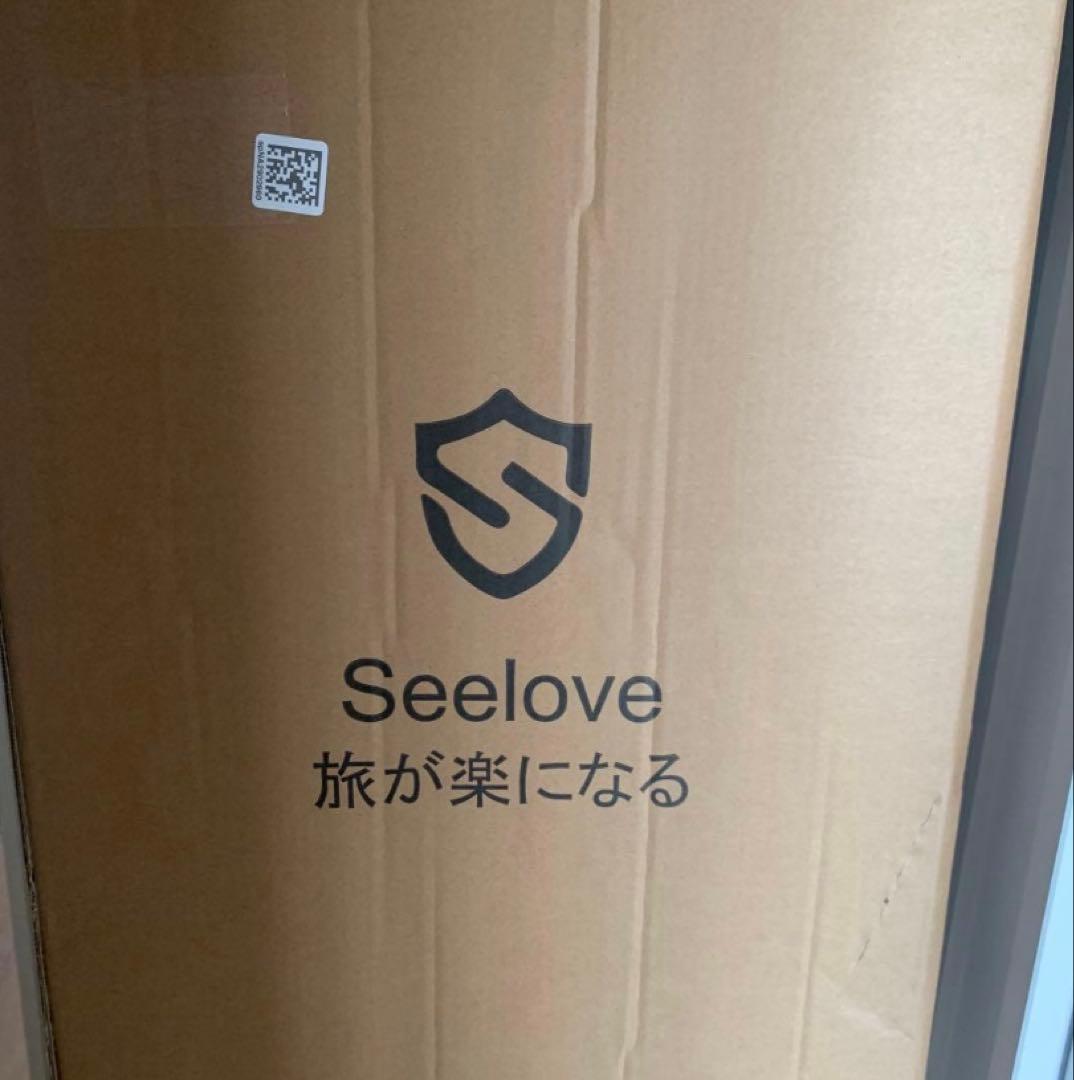 スーツケース キャリーケース 78L 耐衝撃 Lサイズ TSAロック シルバー