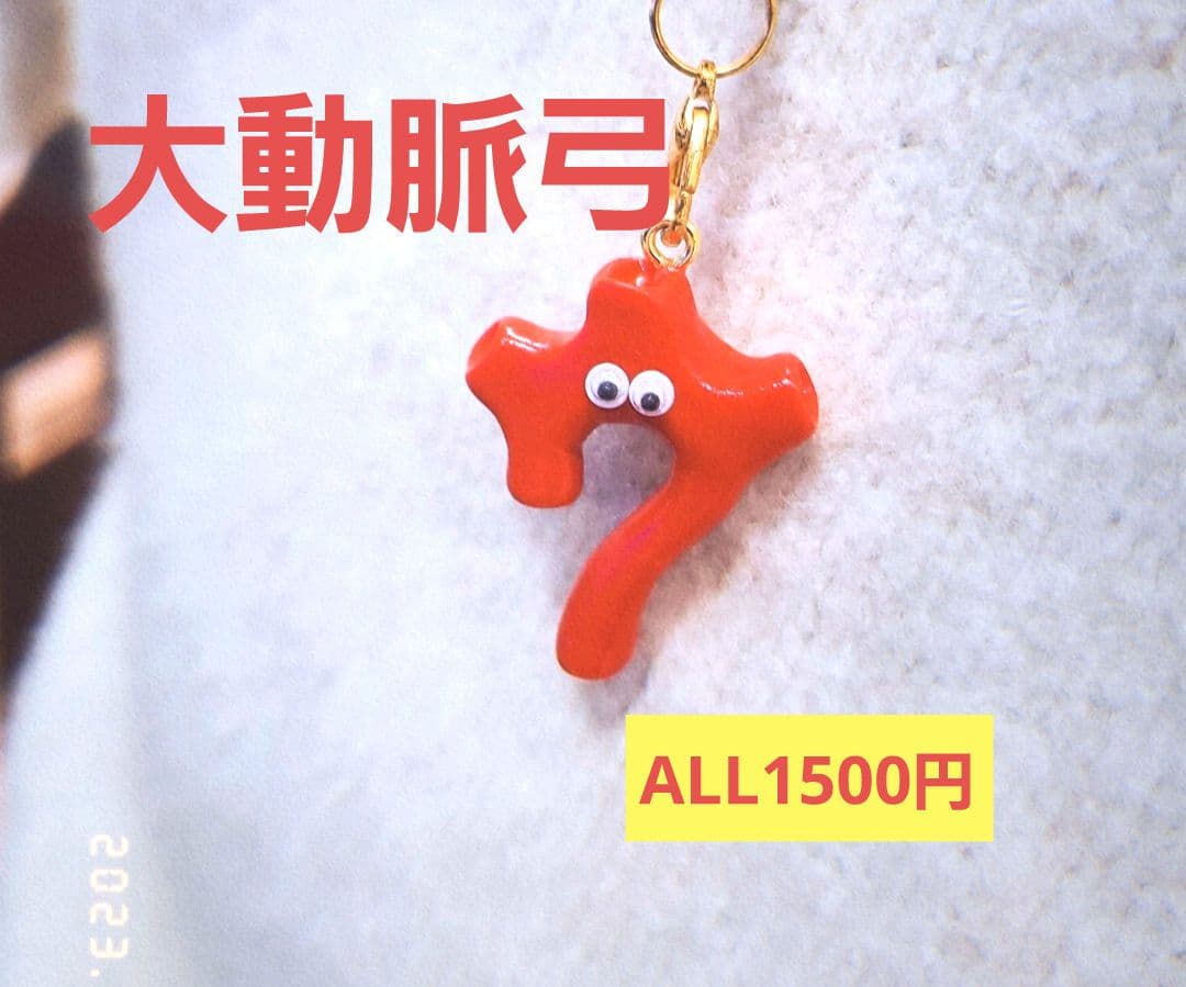 大動脈弓　臓器　手作り　キーホルダー　看護