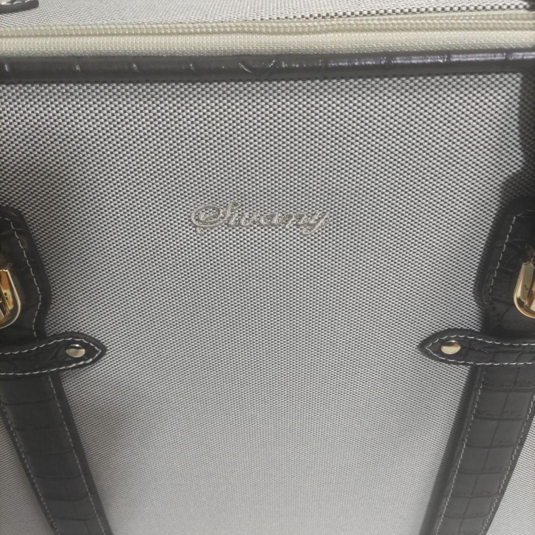 【未使用】 Swany スワニー トランクキャリー バッグ クロコダイル型押し