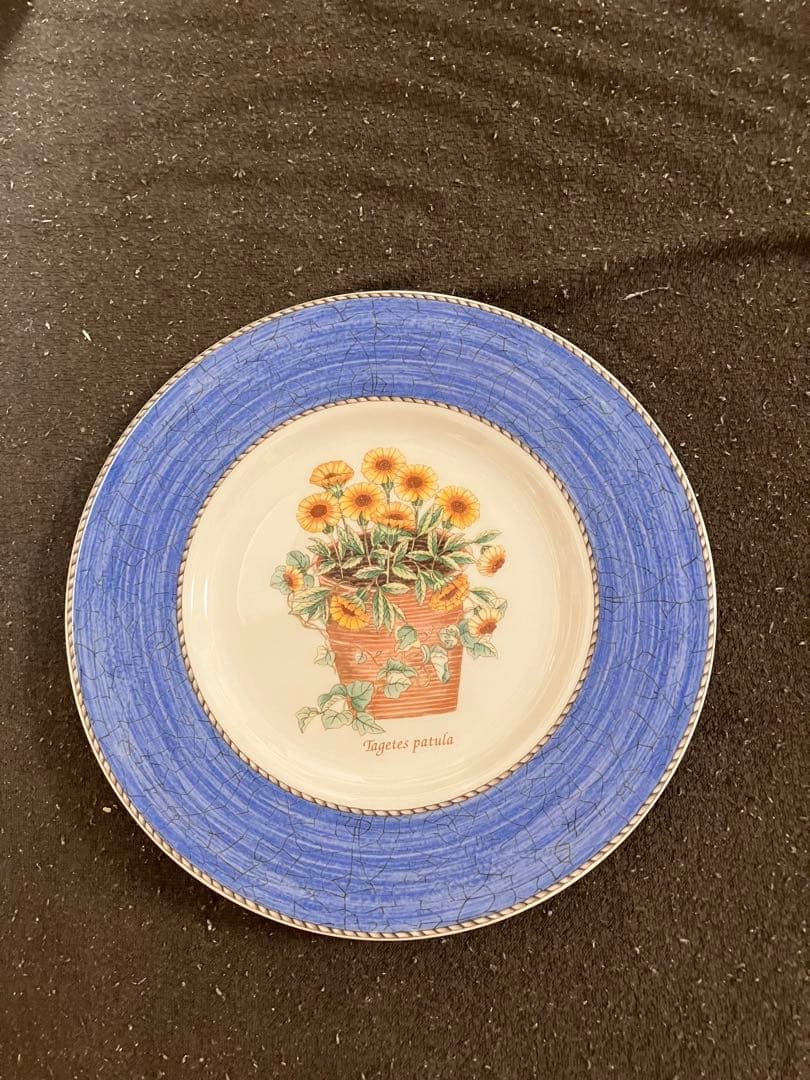  花柄皿 6枚セット