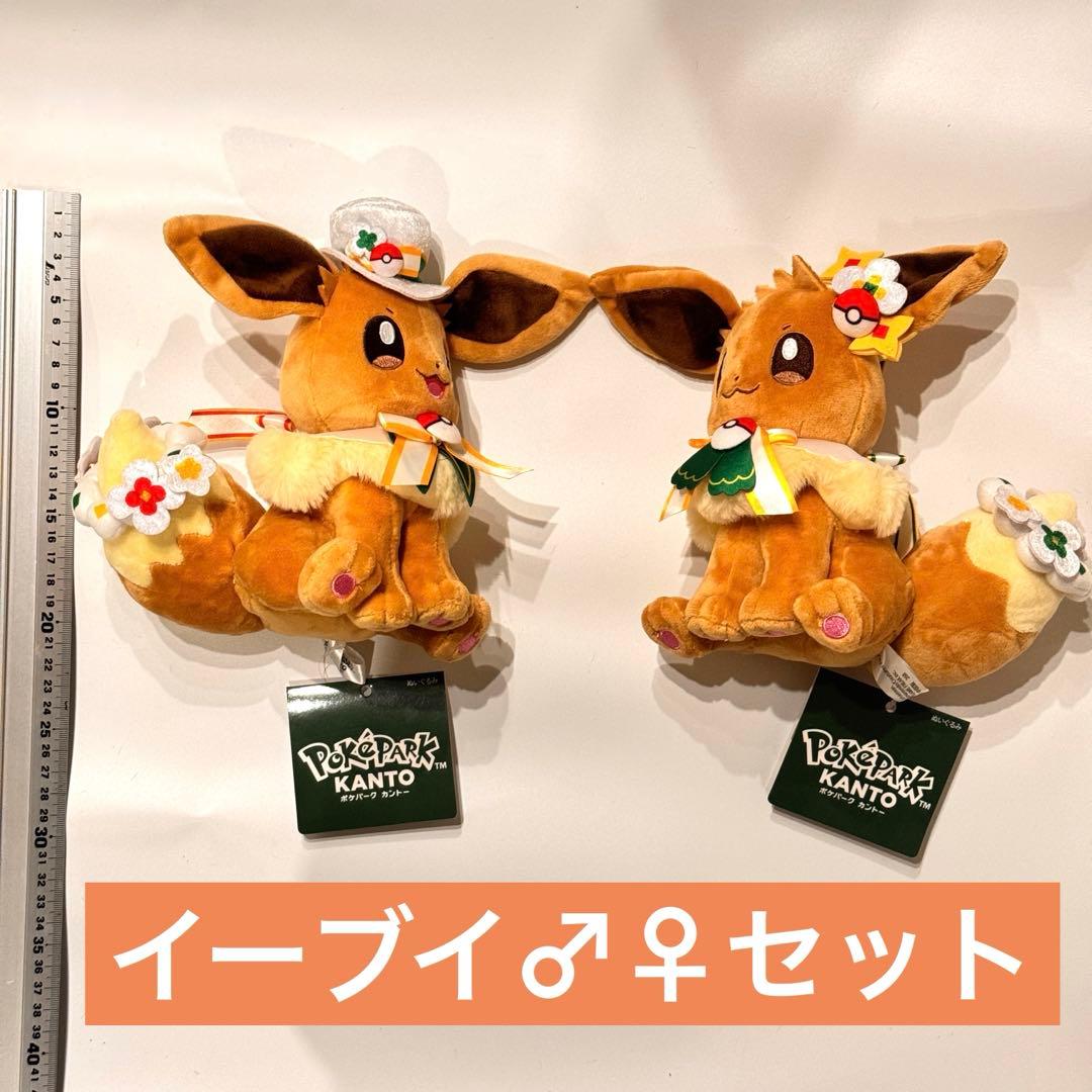 【イーブイ オスメスセット】ポケパークカントー