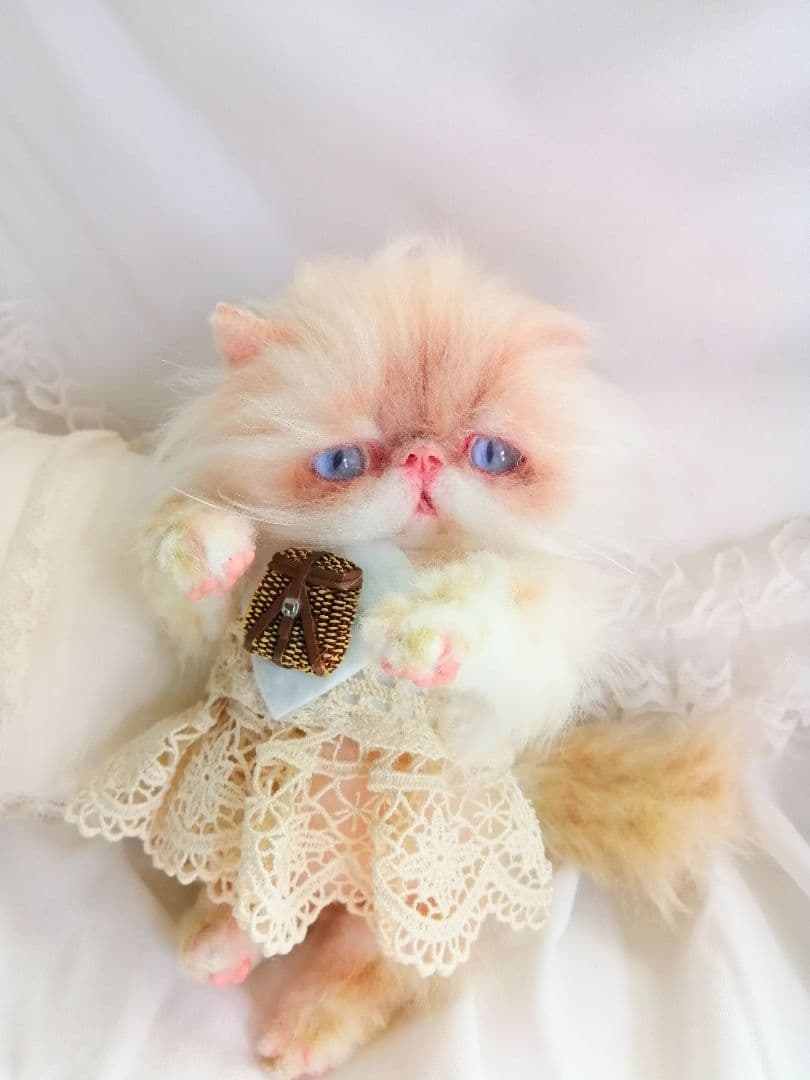 生後６ヶ月♡エキゾチックロングヘア♡子猫ちゃん♡アートドール♡ぬいぐるみ♡