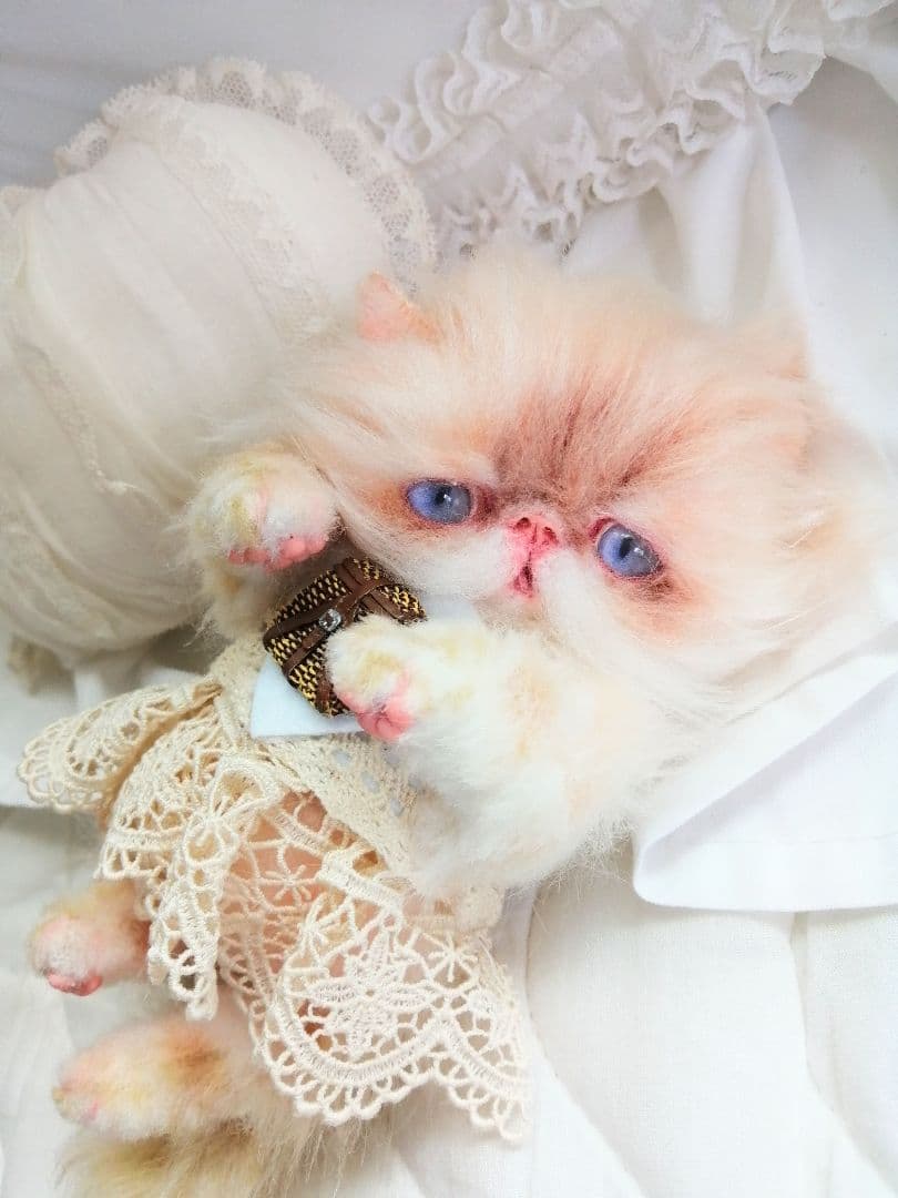 生後６ヶ月♡エキゾチックロングヘア♡子猫ちゃん♡アートドール♡ぬいぐるみ♡