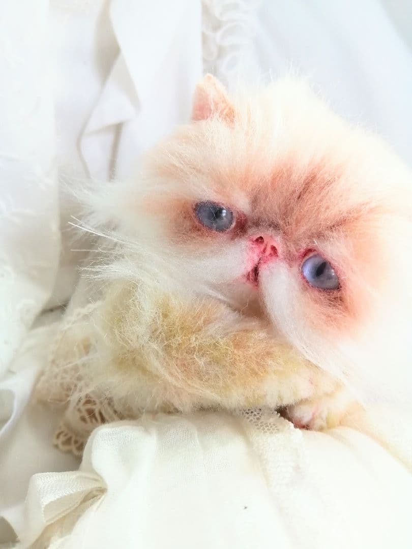 生後６ヶ月♡エキゾチックロングヘア♡子猫ちゃん♡アートドール♡ぬいぐるみ♡