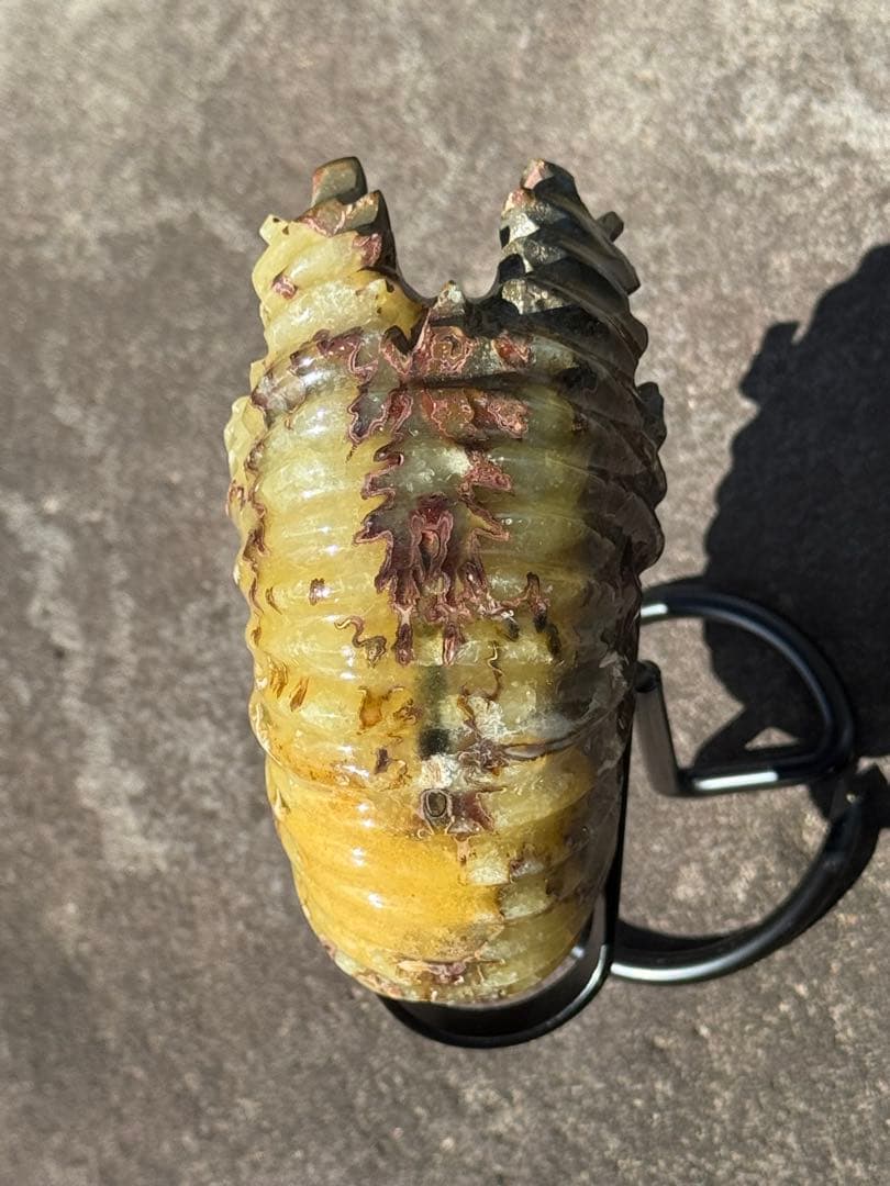 【美品】マダガスカル産アンモナイト 化石