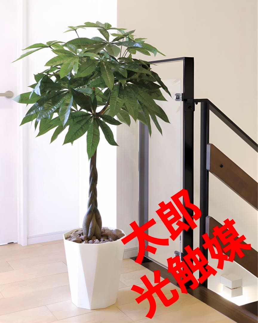 光触媒　人工観葉植物　ウォールグリーン　フェイクグリーン　パキラ1.25m