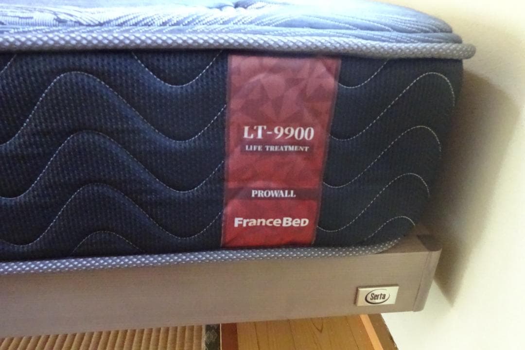 【美品】フランスベッド シングルマットレス LT-9900PW ハード