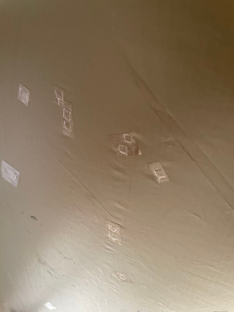 RATEL WORKS ラーテルワークス　ペグ未使用　ボーデンおまけ付き