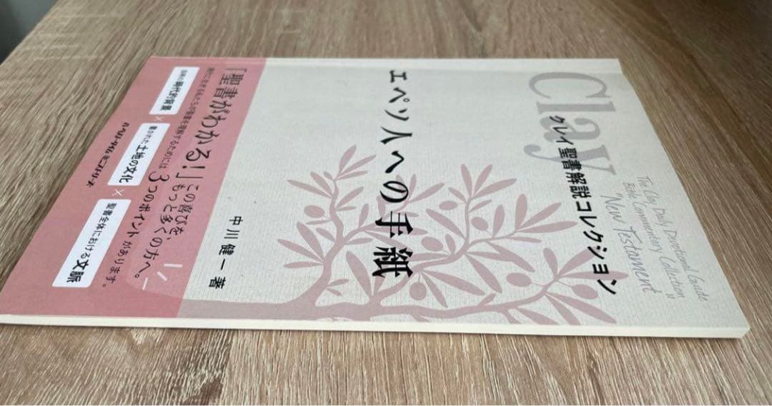 クレイ聖書解説コレクション　新約聖書11冊セット　中川健一著　ハーベストタイム