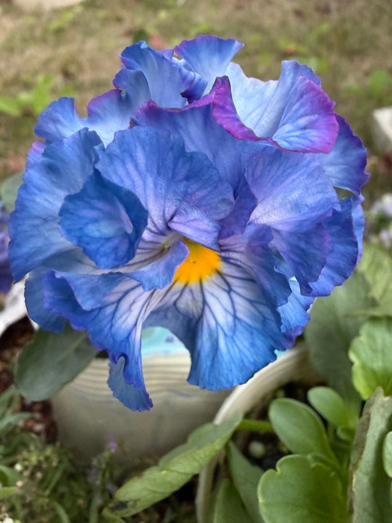 あっき様　13点