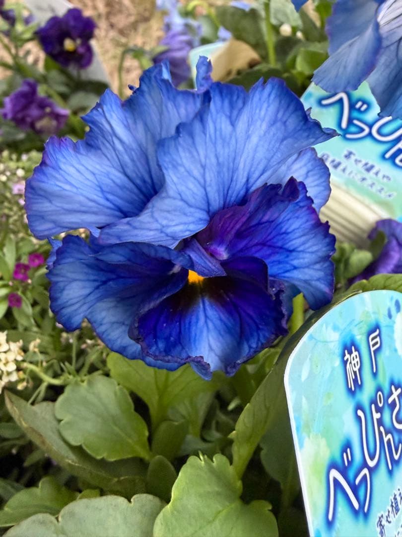 あっき様　13点