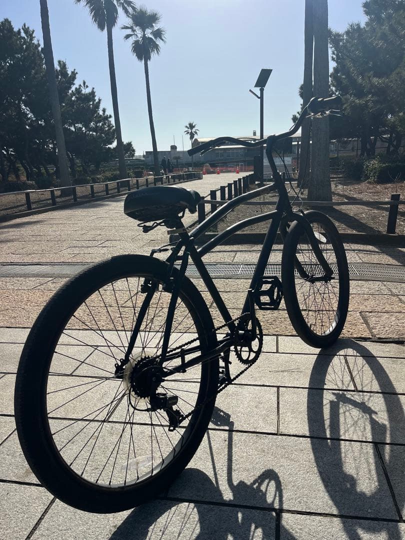 schwinnビーチクルーザー 26インチ湘南激レアビンテージoldmtb