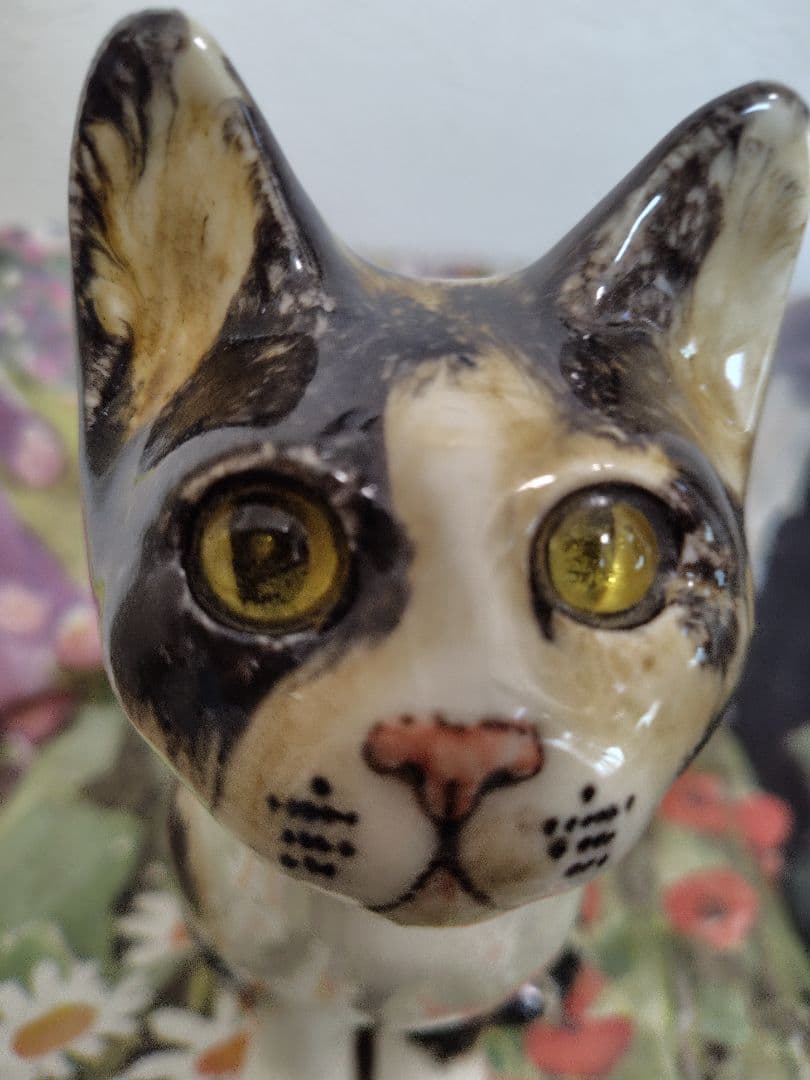 ウィンスタンレイ　ケンジントンキャット