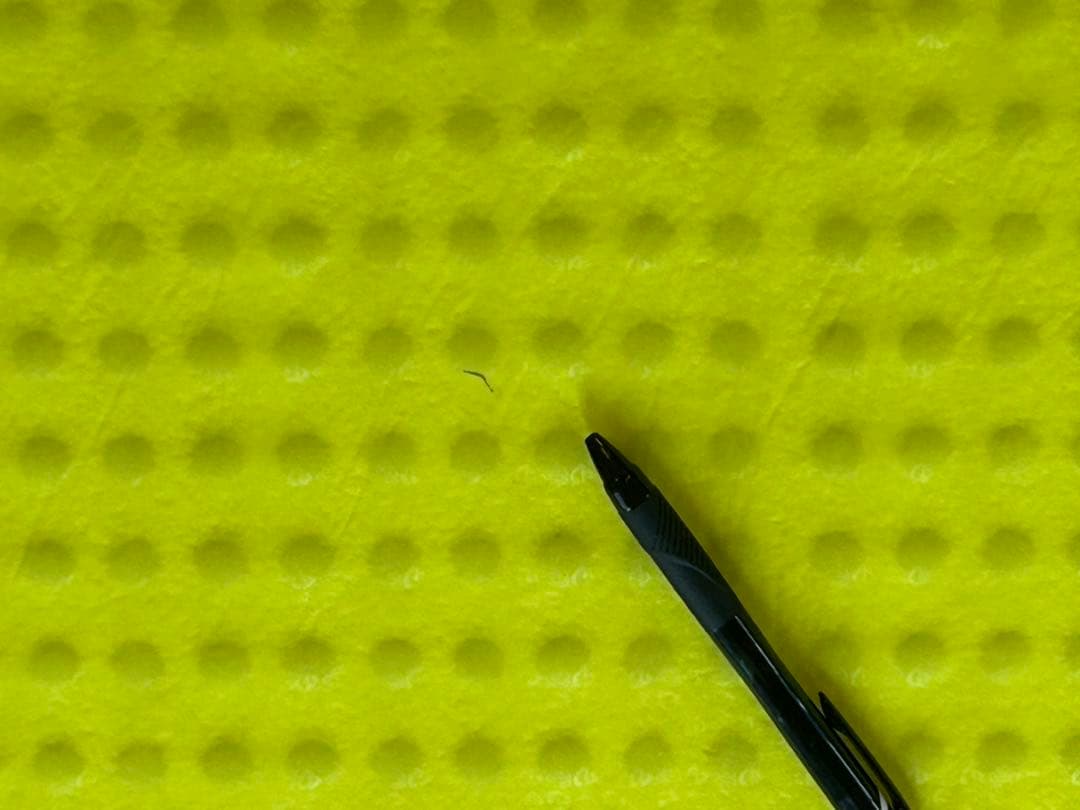 NEMO ZOR SHORT MUMMY ニーモ ゾア ショート マミー