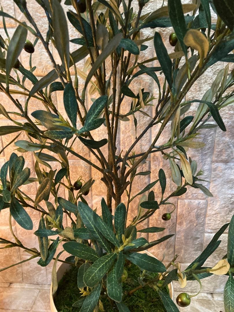 光触媒　人工観葉植物　ウォールグリーン　フェイクグリーン　オリーブ100g