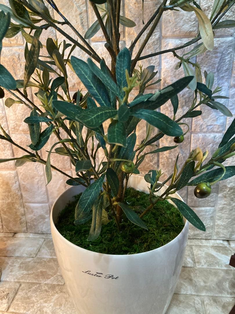 光触媒　人工観葉植物　ウォールグリーン　フェイクグリーン　オリーブ100g