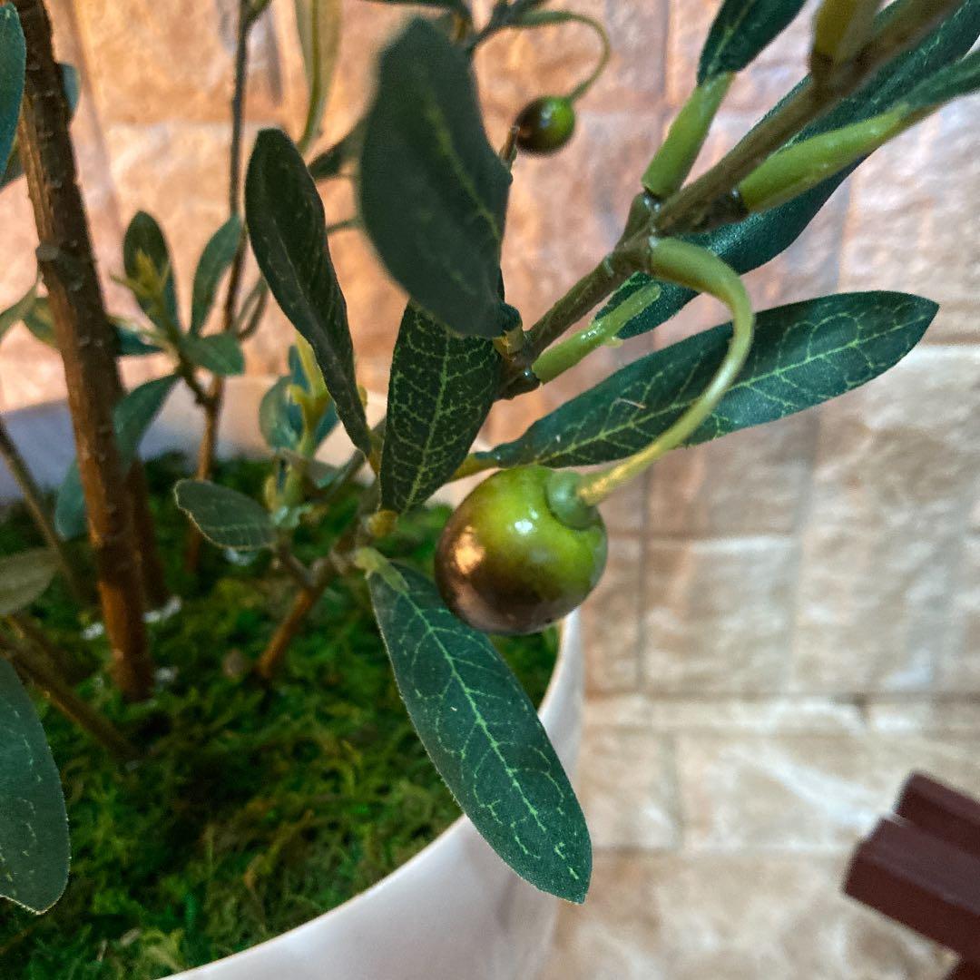 光触媒　人工観葉植物　ウォールグリーン　フェイクグリーン　オリーブ100g