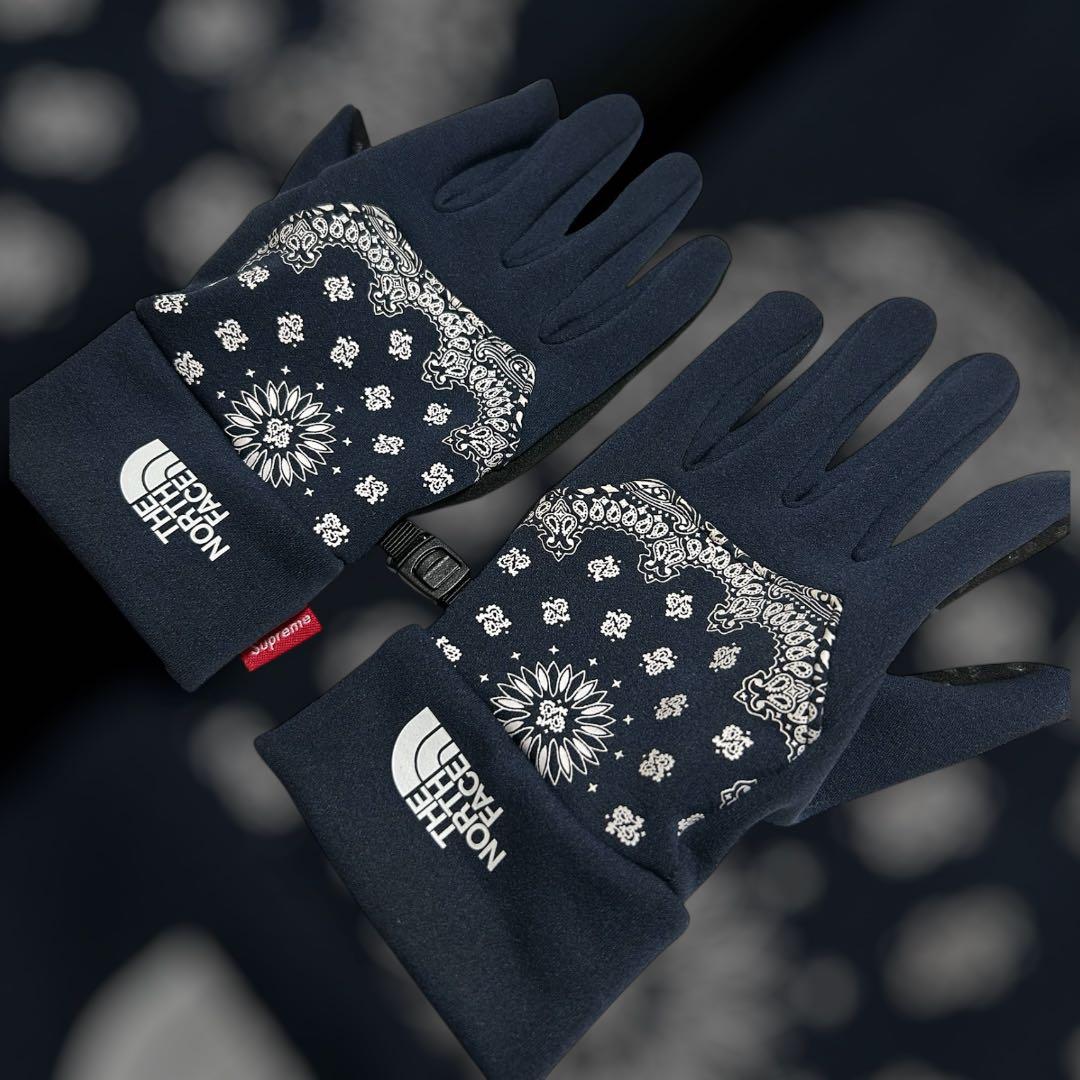 Supreme × NORTH FACE Bandana Etip Glove