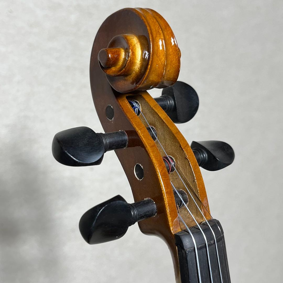 Carlo giordano エレキバイオリン EV-202 カルロジョルダーノ