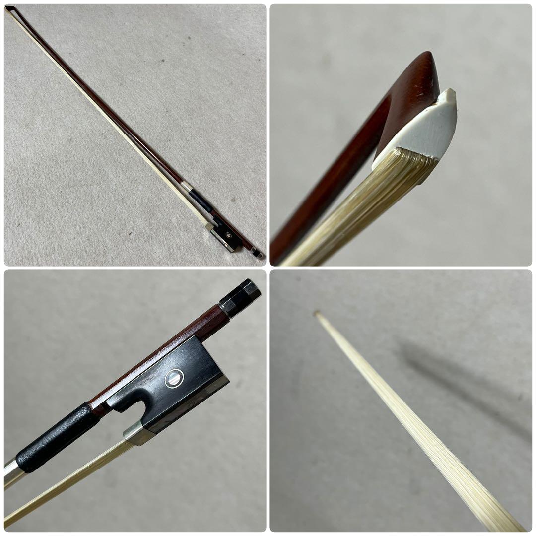 Carlo giordano エレキバイオリン EV-202 カルロジョルダーノ