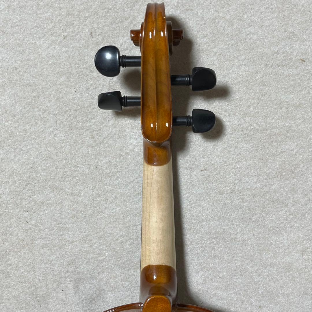 Carlo giordano エレキバイオリン EV-202 カルロジョルダーノ