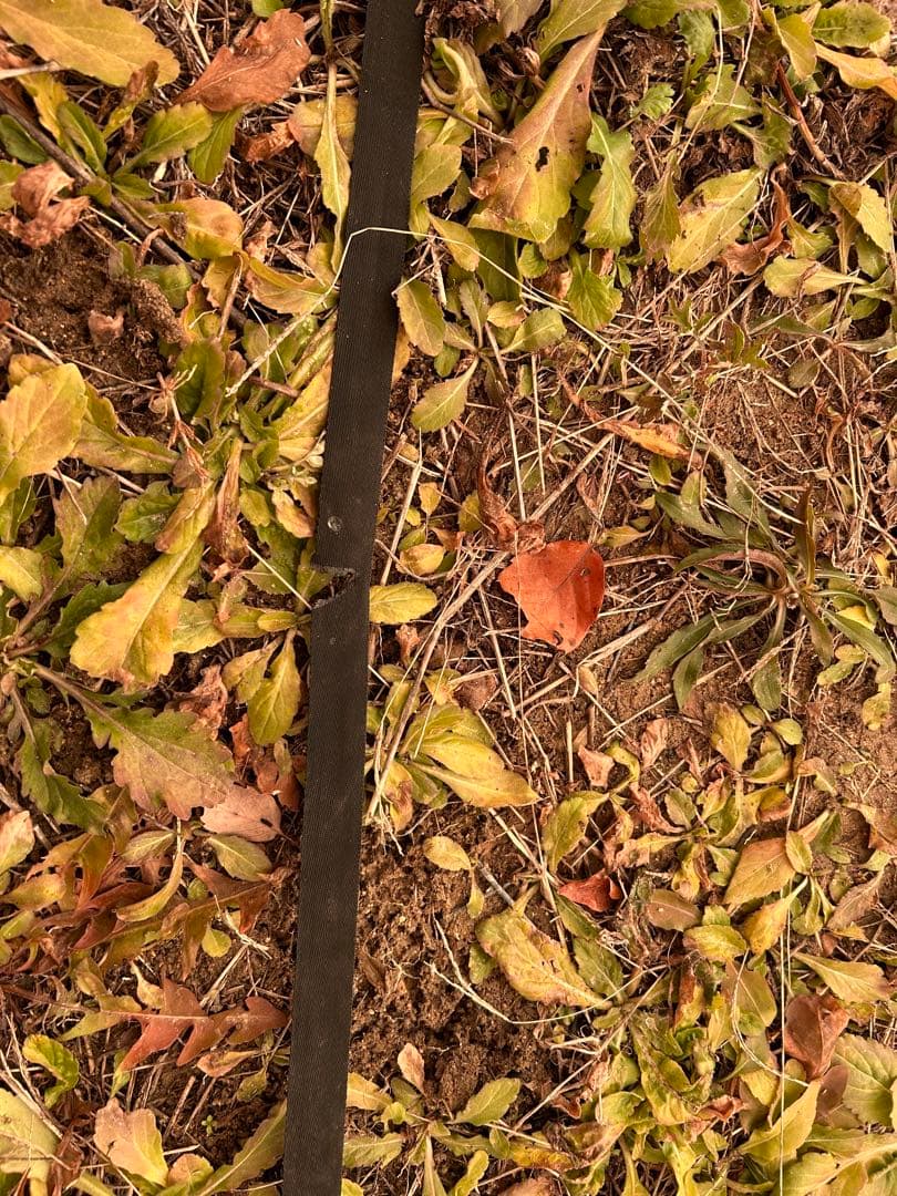 スノーピーク　peak ヴォールド　ツールームテント　インナーテント付き