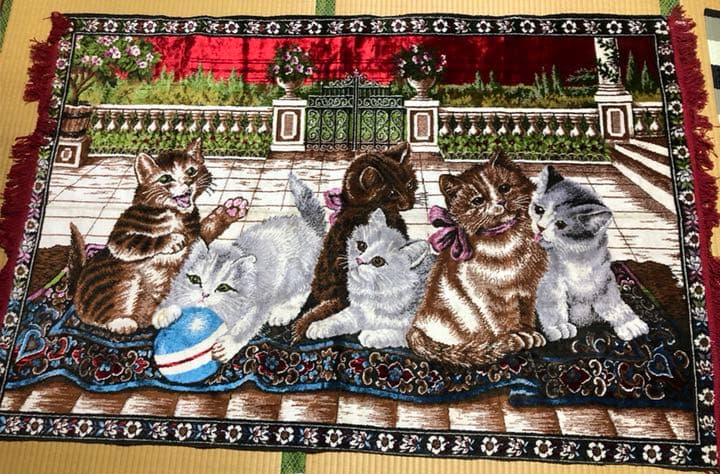 猫の絨毯