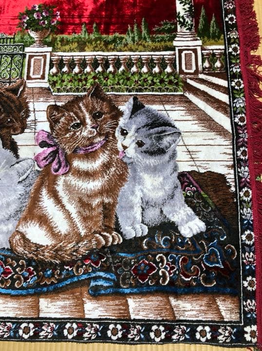 猫の絨毯