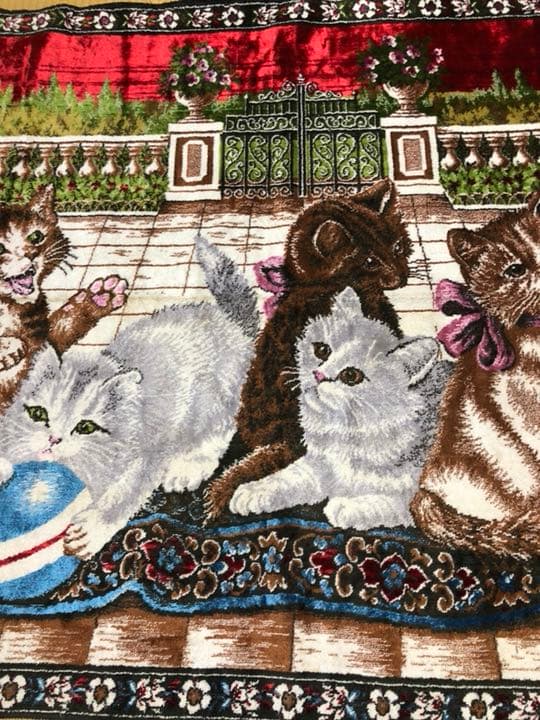 猫の絨毯