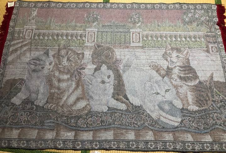 猫の絨毯