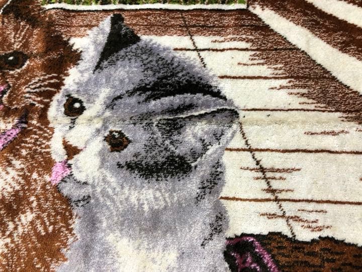 猫の絨毯