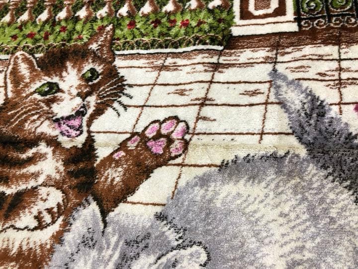 猫の絨毯