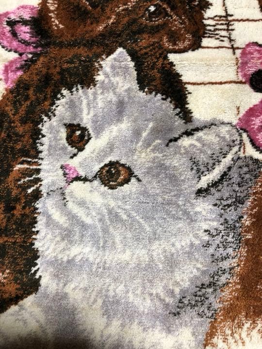 猫の絨毯