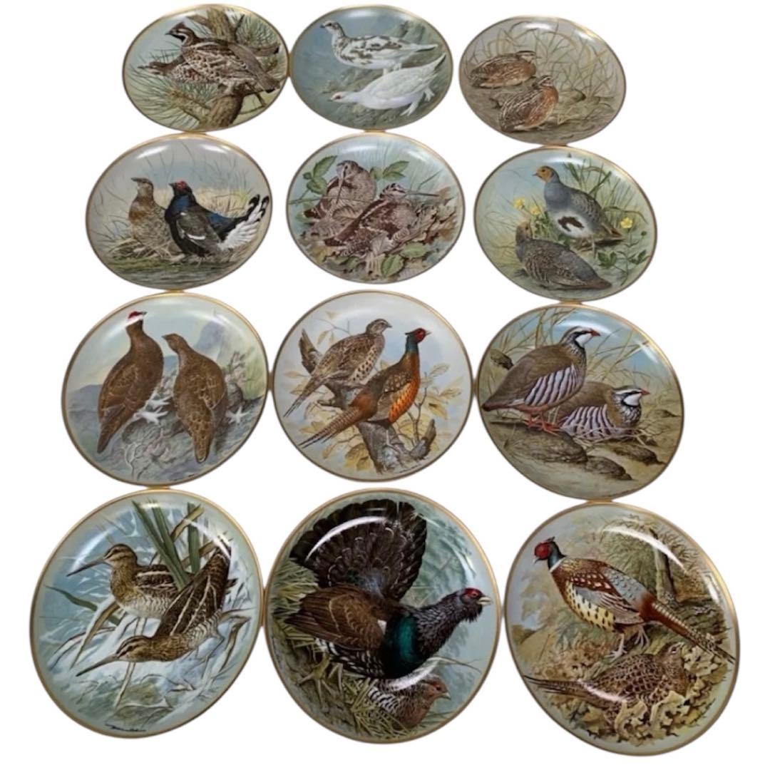 野鳥絵皿　フランス　リモージュ　フランクリンポーセリン　12枚