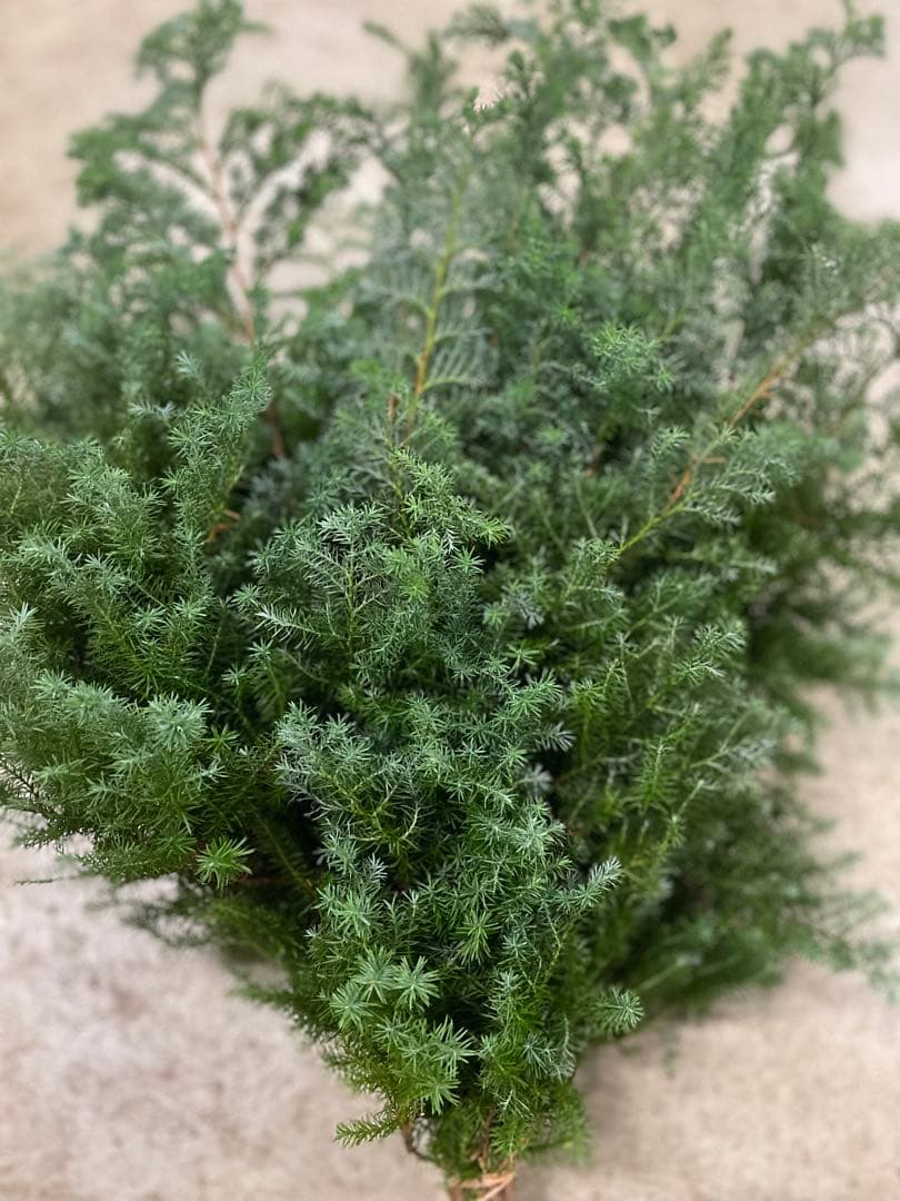 フラワー・ガーデニング Flower lovers