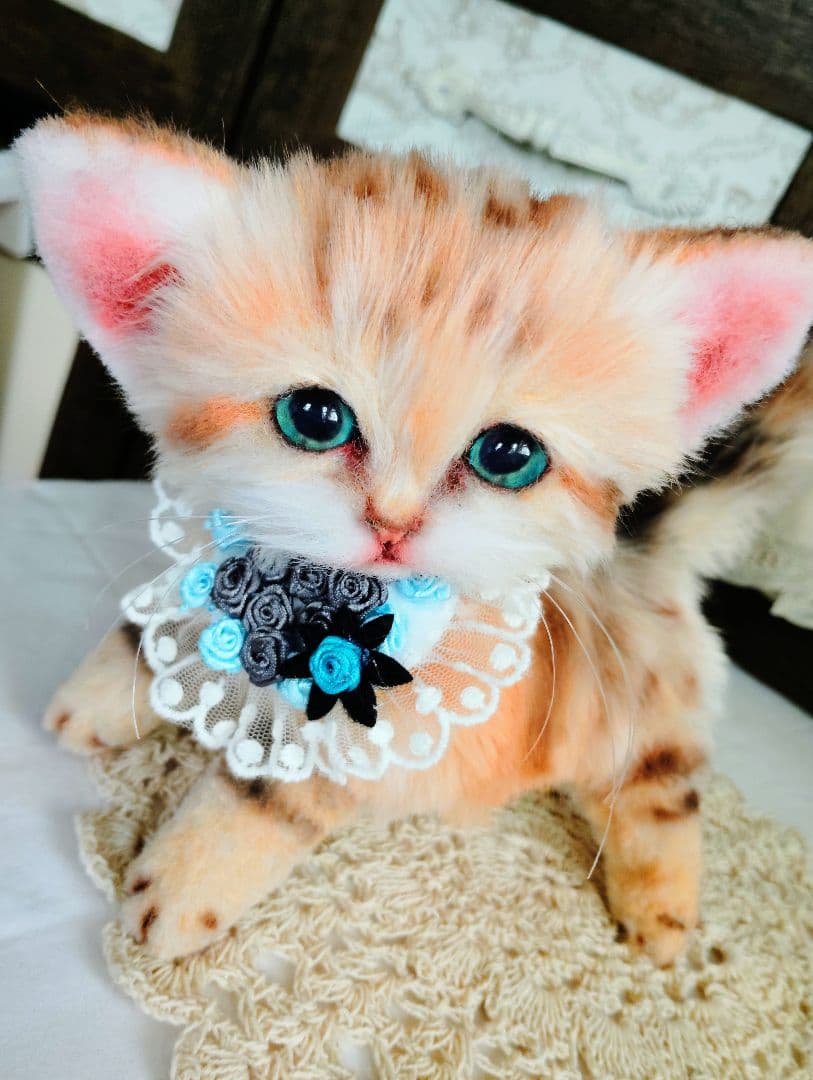 スナネコちゃん❤子猫♥まなあきちゃんご予約♥