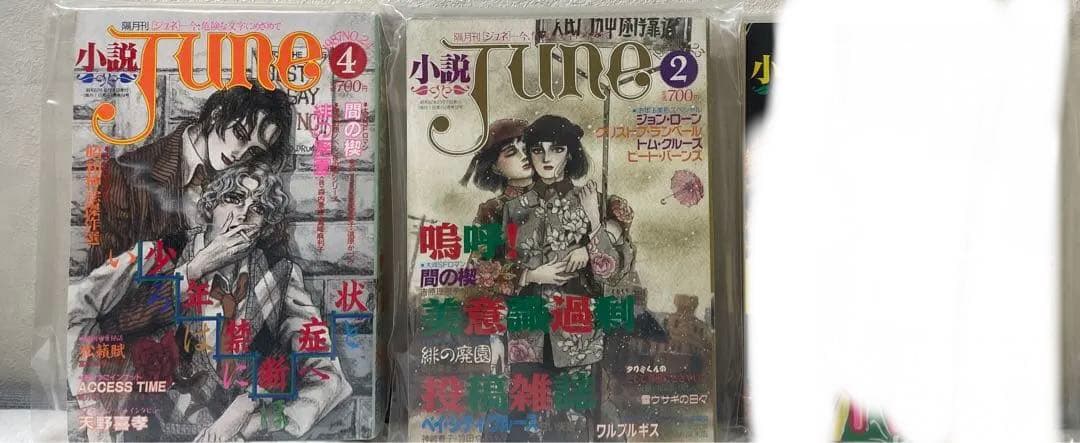 小説june ジュネ　2冊　まとめ売り　雑誌