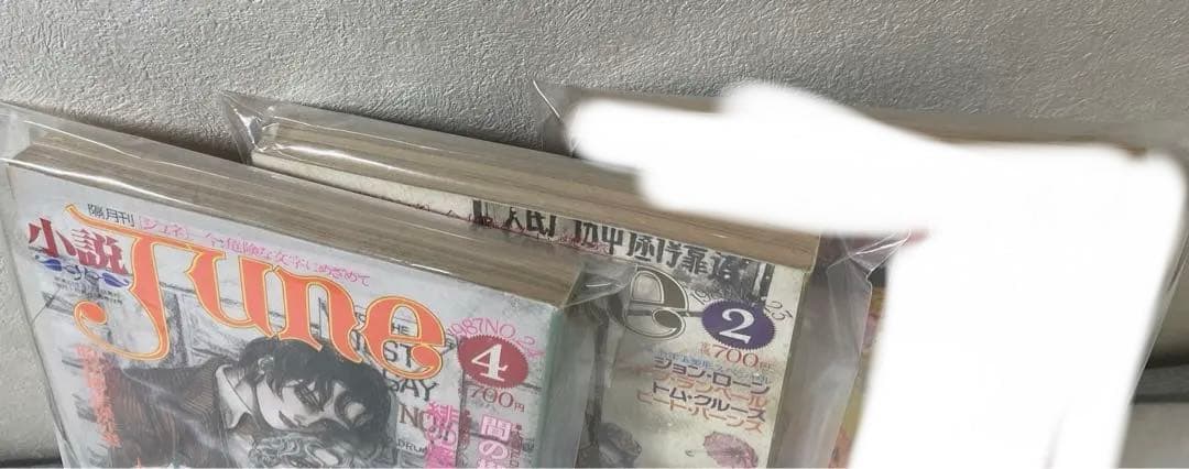 小説june ジュネ　2冊　まとめ売り　雑誌