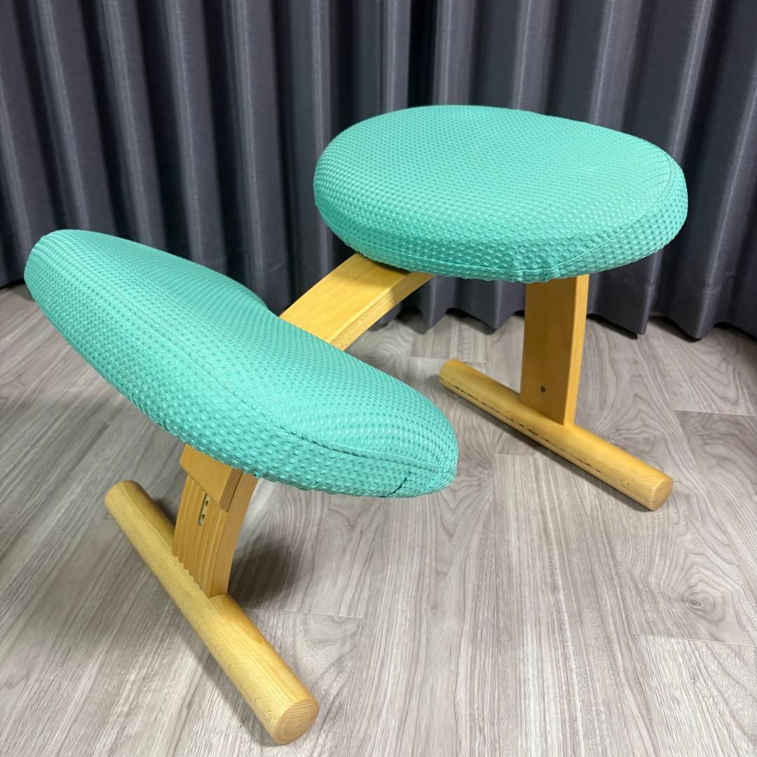 Balans Easy バランスチェア　サカモトハウス 水色　カバー付