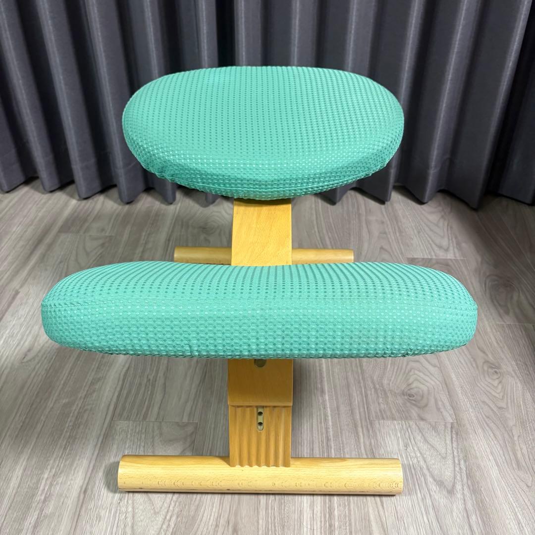 Balans Easy バランスチェア　サカモトハウス 水色　カバー付