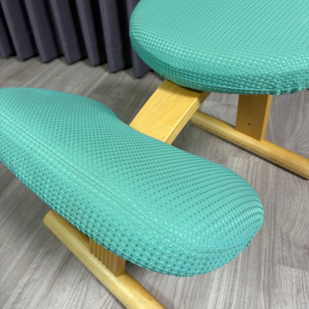 Balans Easy バランスチェア　サカモトハウス 水色　カバー付