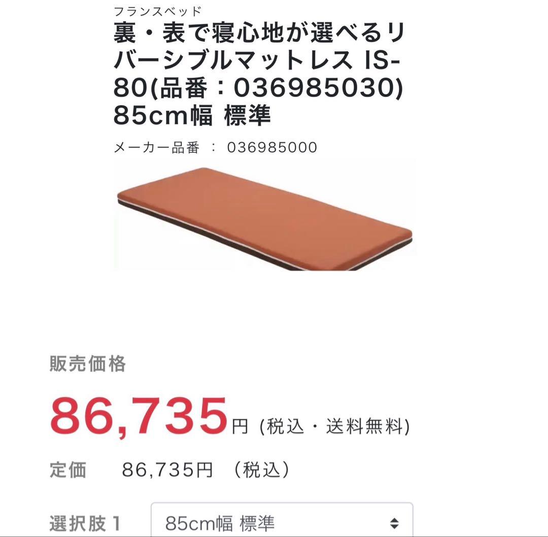 フランスベッド 電動介護用ベッド 3モーター式 マットレス、手摺、その他付属付