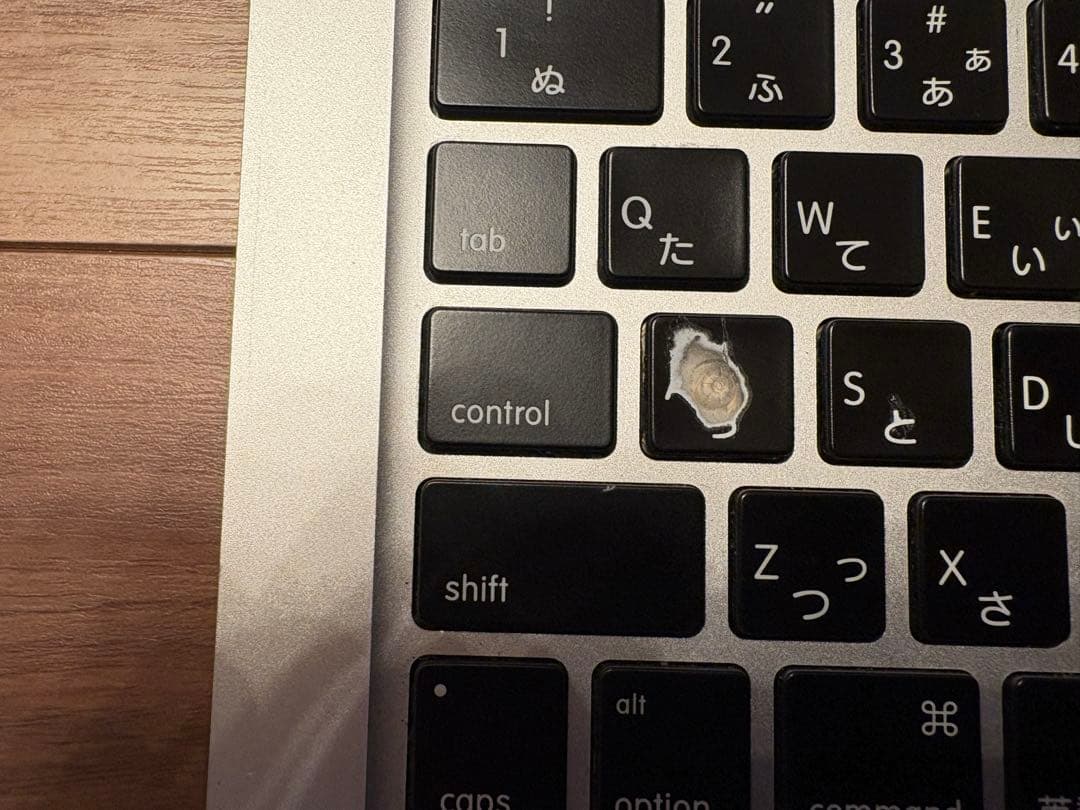 【la pomme】MacBook Pro 13inch Early 20