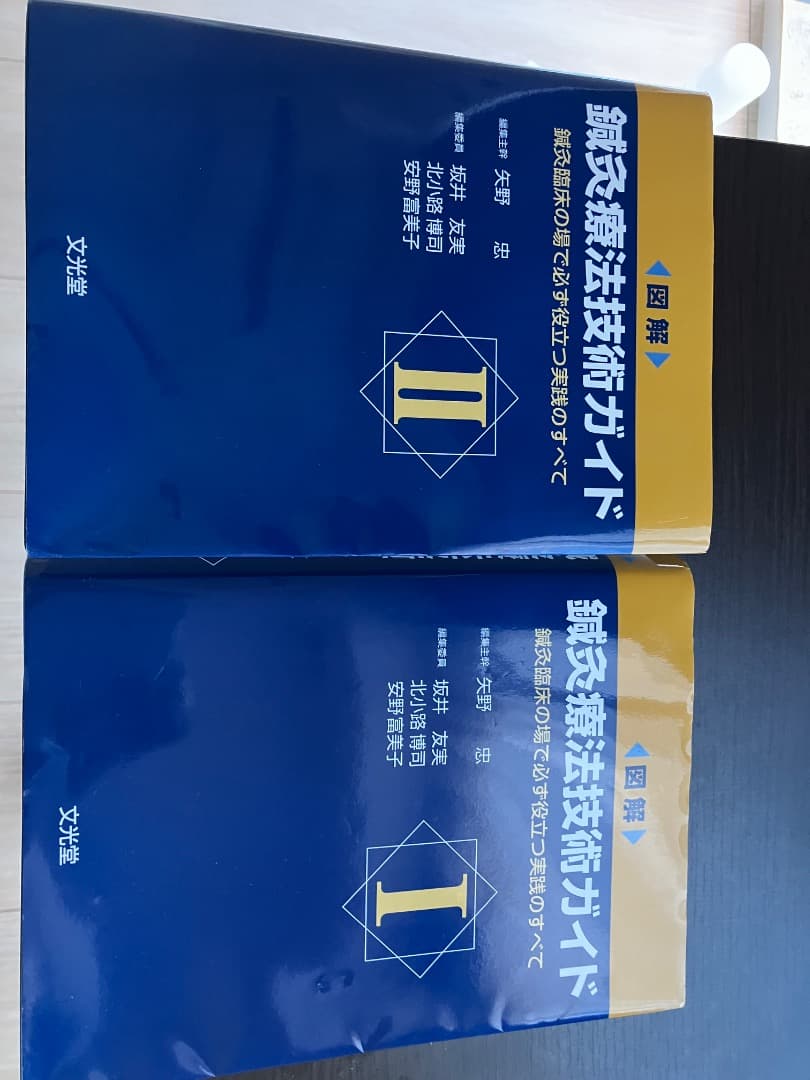 鍼灸療法技術ガイド