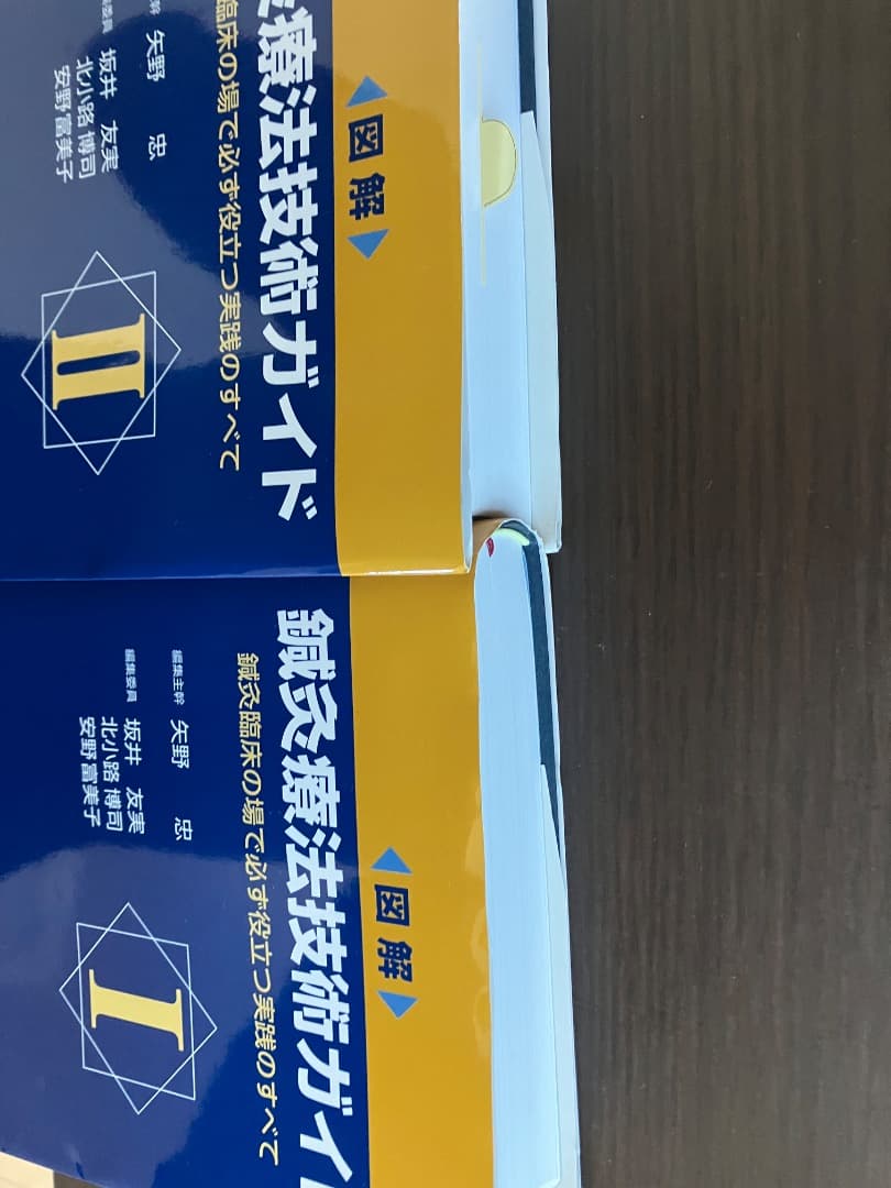 鍼灸療法技術ガイド